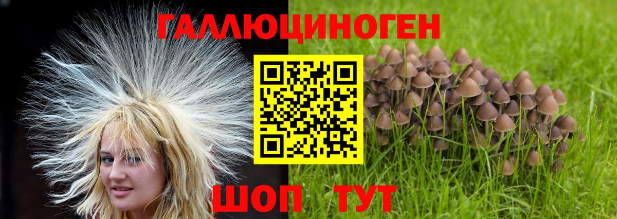 Обнинск  Псилоцибиновые грибы ЛСД  Вход с VPN  Галлюциногенные грибы Magic Shrooms 